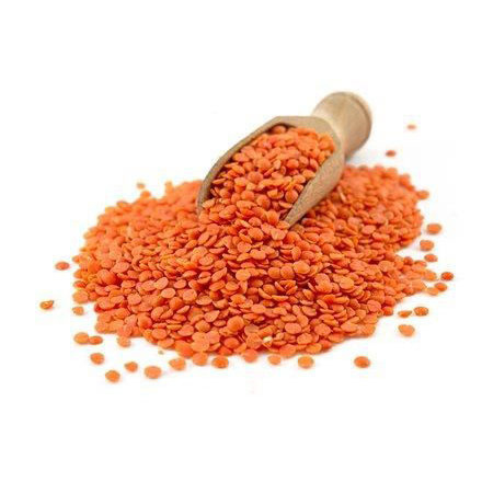 Wholesale Price Red Lentils Red Whole Lentils and Red Split Lentils Wholesale