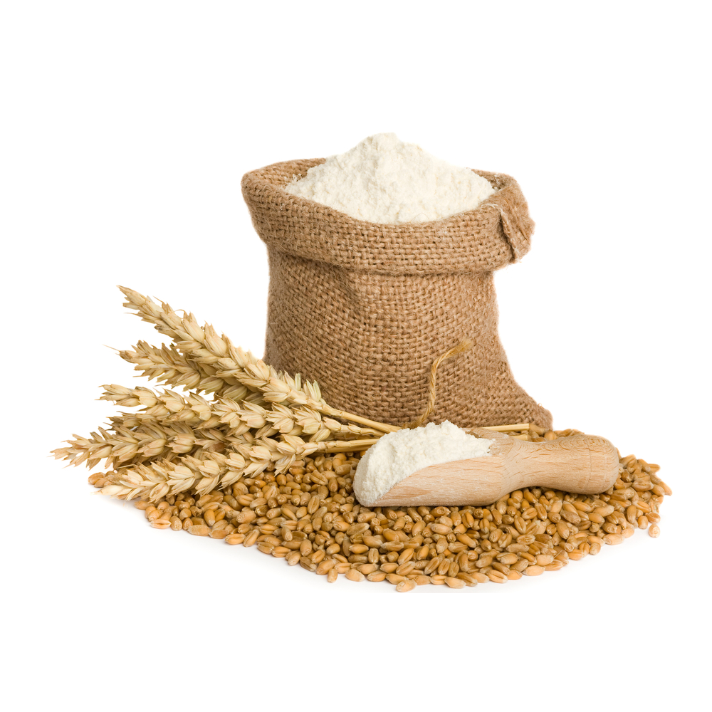 Premium Quality Turkey Wholesale Wheat Flour Best Price Flour from Flour Wheat Cheap Price