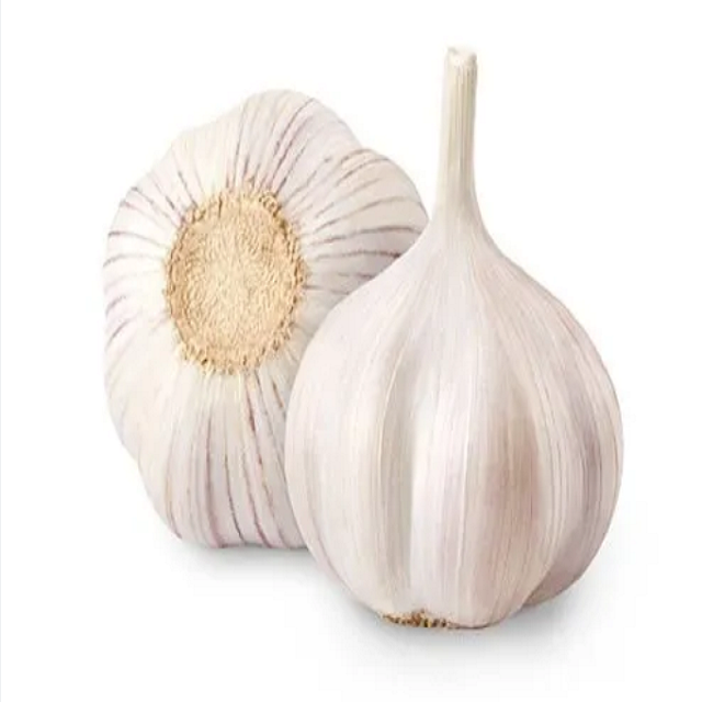 Fresh White Garlic 6.0cm Chinese Normal White Pure White Fresh Garlic Wholesale 10kg Carton Garlic