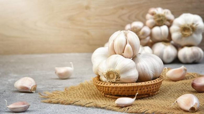 5.5 cm Factory Pure White Fresh Garlic Price/ Bulk Garlic For Sale/ Garlic From  Philippines Top Single Spices