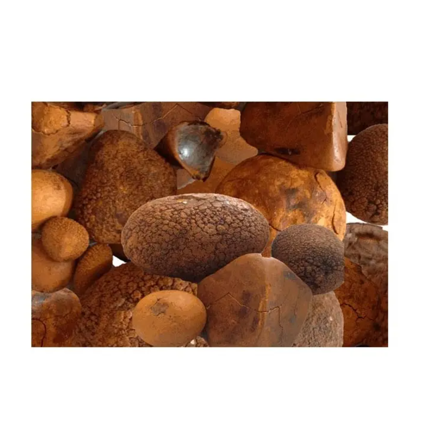 Top Quality Ox Gallstones Cattle Gallstones Cow Gallstones Buy Cow Gall Stones for sale