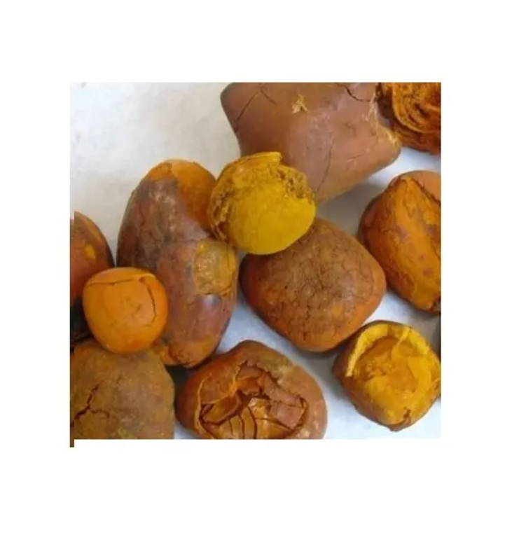 Top Quality Ox Gallstones Cattle Gallstones Cow Gallstones Buy Cow Gall Stones for sale