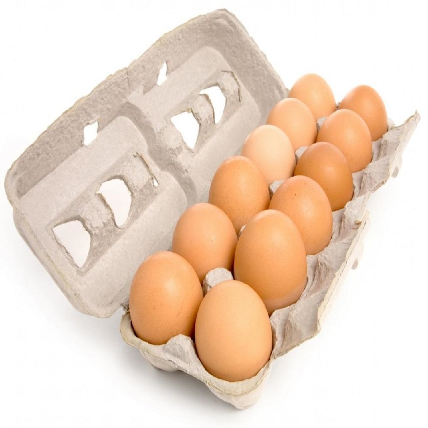 Fresh Chicken Eggs Wholesalers - Fresh Table Eggs For Sale with Low Prices Available