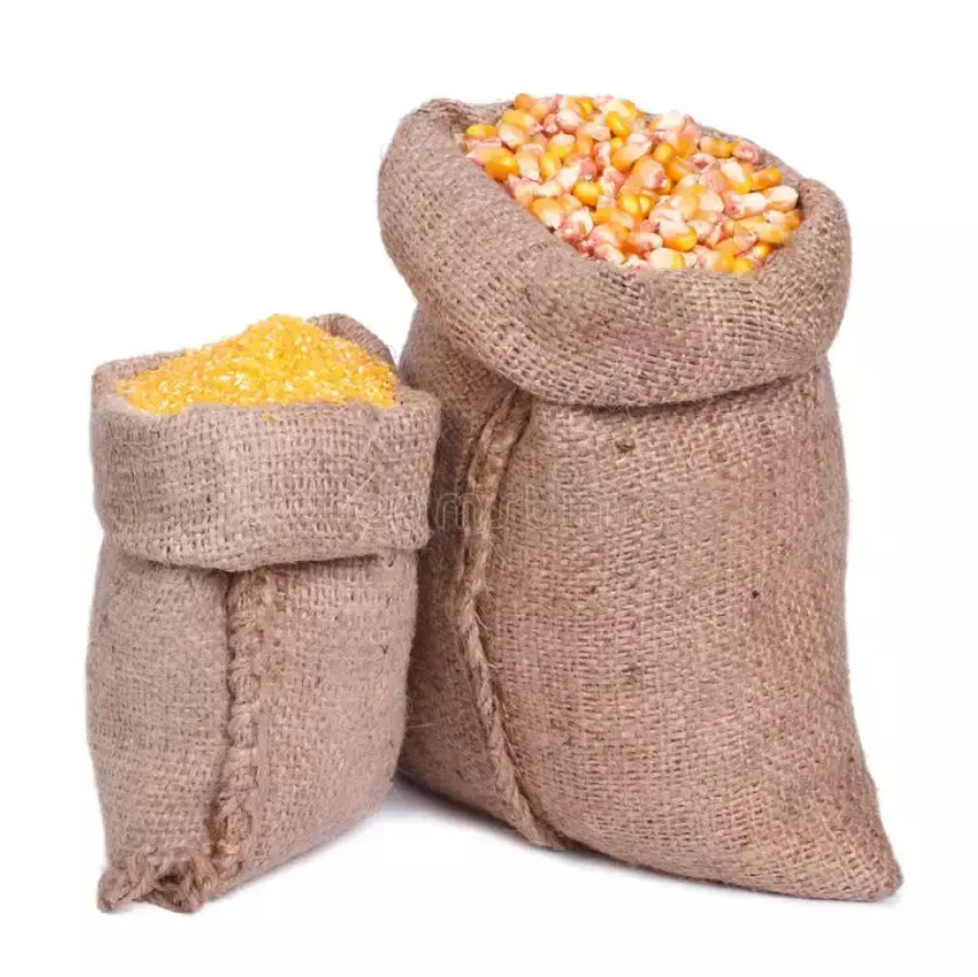 Best Quality Hot sale Organic Yellow And White Sweet Corn Seed Suppliers Yellow Maize Corn Yellow Corn