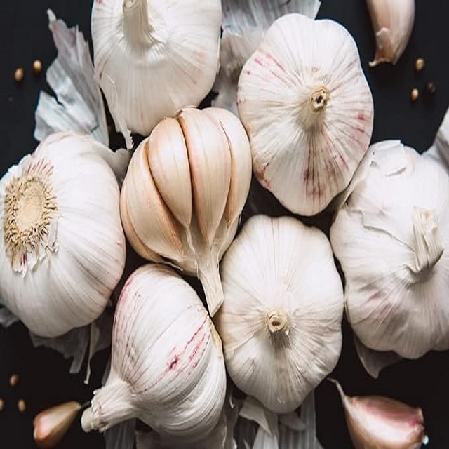 5.5 cm Factory Pure White Fresh Garlic Price/ Bulk Garlic For Sale/ Garlic From  Philippines Top Single Spices