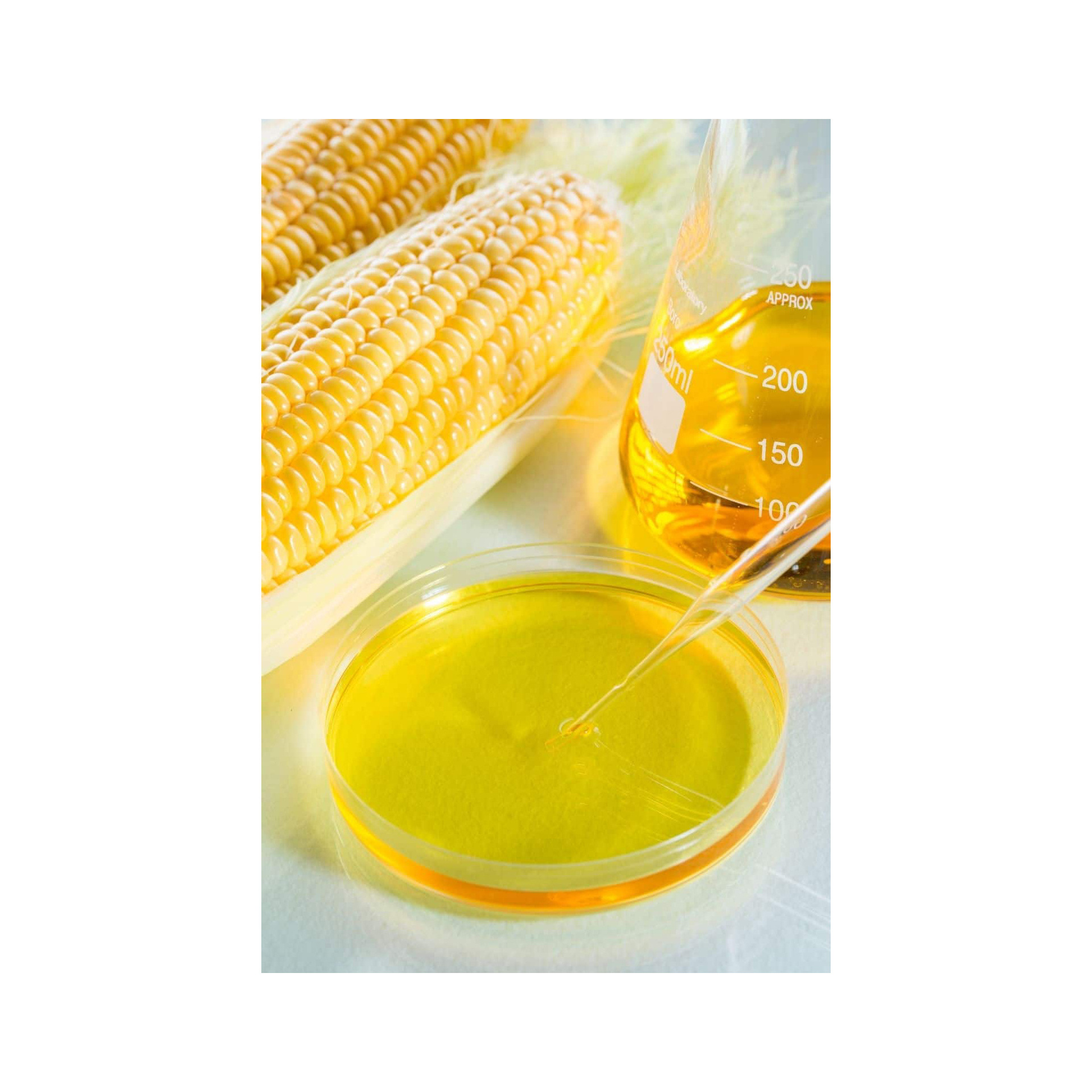 High Fructose Corn Syrup manufacture 42% 55% High Fructose Corn Syrup Price