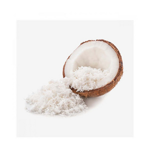 Wholesale Price Organic Bulk Coconut Milk Powder Fat 30