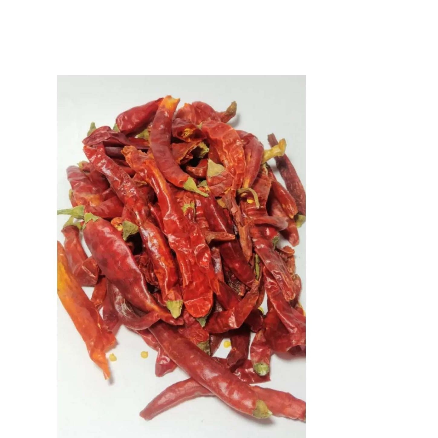 Red Whole Chilli Produced Agricultural Farm Best Dry Red Chilli Wholesale Price by Exporters