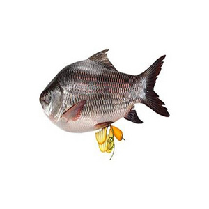 High Quality Fresh Frozen Whole Rohu Fish Best Price