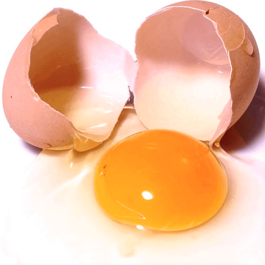 Chicken Eggs Cobb 500 Broiler Chicken Eggs Fresh Cobb 700 Fertilized Chicken Eggs