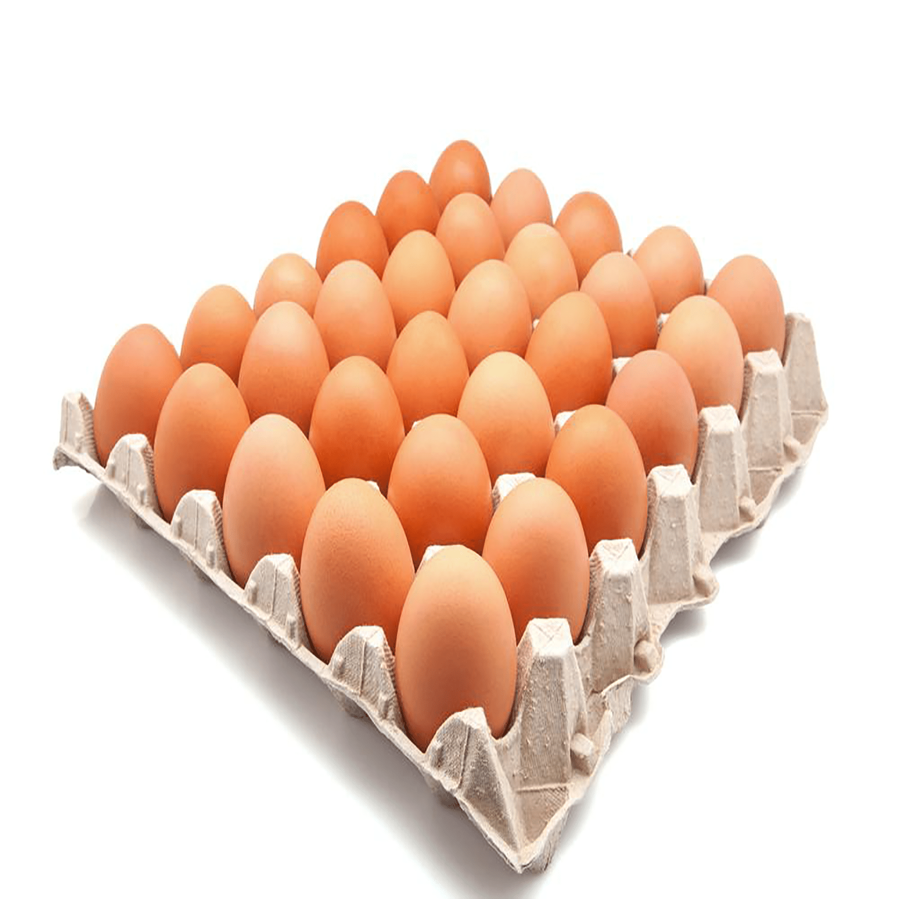 Chicken Eggs Cobb 500 Broiler Chicken Eggs Fresh Cobb 700 Fertilized Chicken Eggs