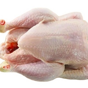 Best Selling Premium Supplier Frozen Whole Chicken, Chicken wing Processed Meat In Wholesale Price offer USA Origin