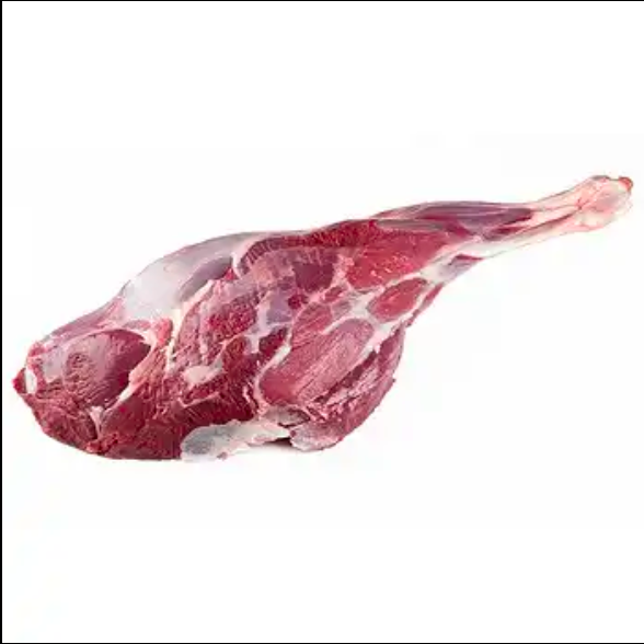 NEW ZEALAND HALAL FRESH FROZEN GOAT/MUTTON MEAT/LAMB MEAT CARCASS