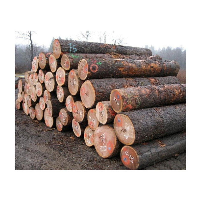 Super Performance Oak Hard Wood Round Logs / Timber From Belgium Supplier