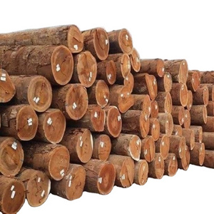 For Sell Red and White Oak Round Logs / oak veneer logs / Fresh Grade 1 2 3 Round Oak Logs