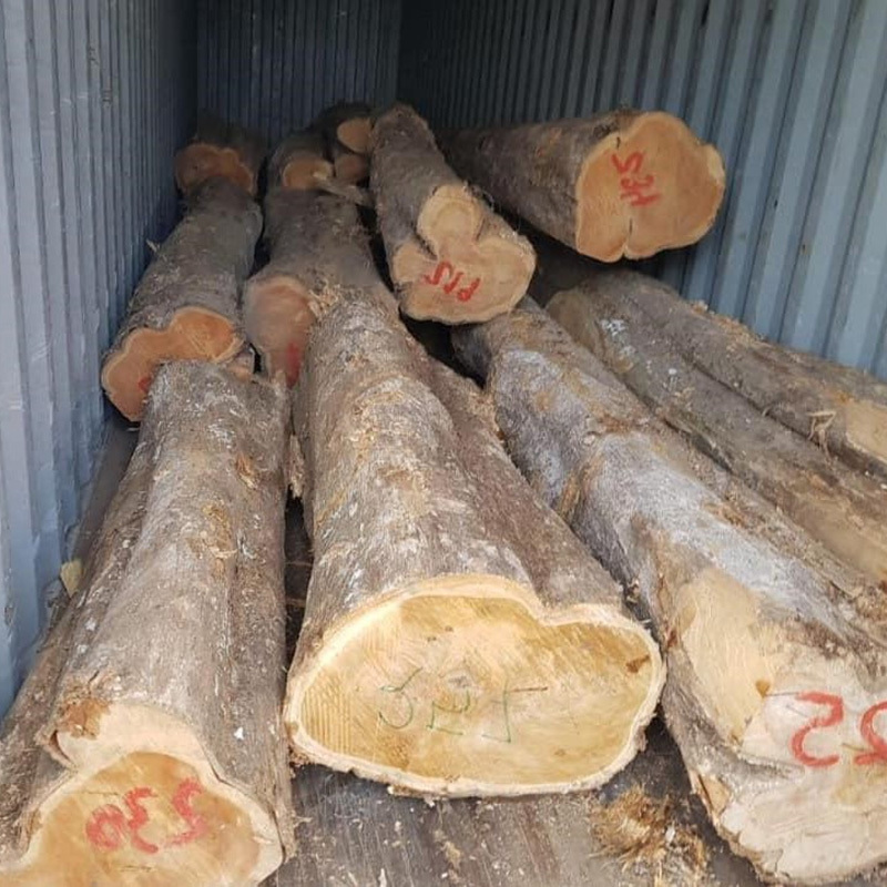 Hot Sell Veneer Wood Red Oak Log for wholesales Oak White Wood Fir Logs 20 Cm Black Red Round Wood Logs