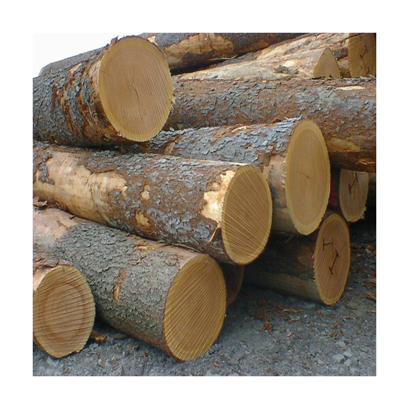 Hot Sell Oak Timber Logs Teak Wood / Oak Wood Logs / Pine Wood Logs