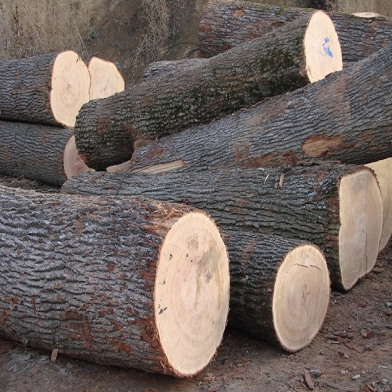 For Sell Red and White Oak Round Logs / oak veneer logs / Fresh Grade 1 2 3 Round Oak Logs