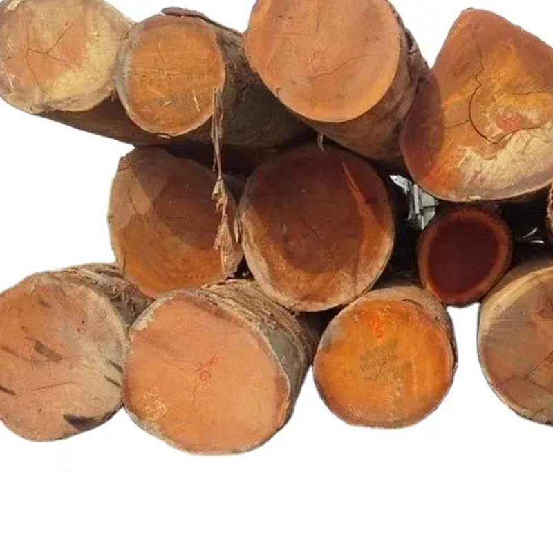 Top Quality Round Teak Wood Tali Wood Padouk Pine Boxwood Azobe Wood and Timber Logs Canada