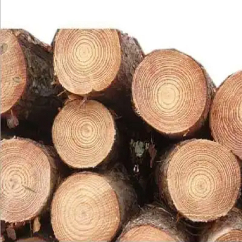 Best Price European Walnut Logs and timber for sale/France high density and harder round logs