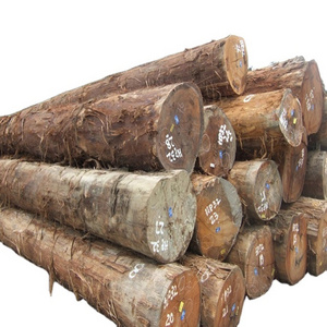 Good Sell Pine Ash logs Hardwood timber Teak wood / Pine wood logs oak wood logs