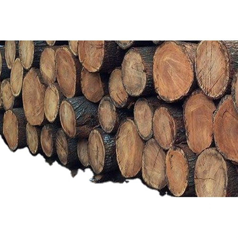 Hot Sell Veneer Wood Red Oak Log for wholesales Oak White Wood Fir Logs 20 Cm Black Red Round Wood Logs