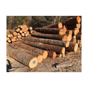 Top Selling Custom Teak Wood Logs Pine and Red hard wood/Hot Sales eucalyptus wood log with cheap price