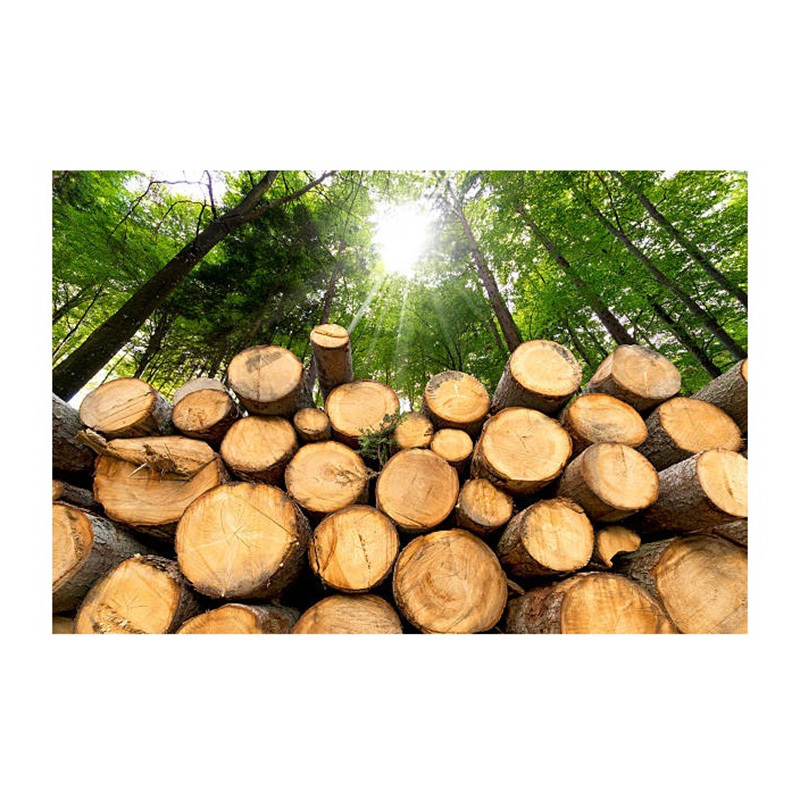 Super Performance Oak Hard Wood Round Logs / Timber From Belgium Supplier