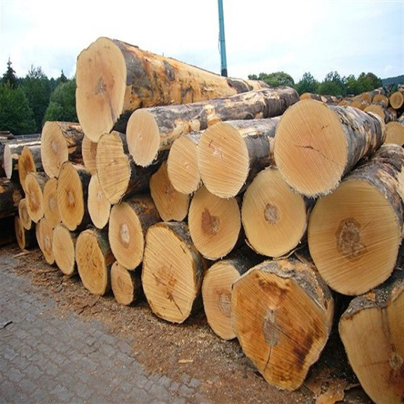 Hot Sell Veneer Wood Red Oak Log for wholesales Oak White Wood Fir Logs 20 Cm Black Red Round Wood Logs