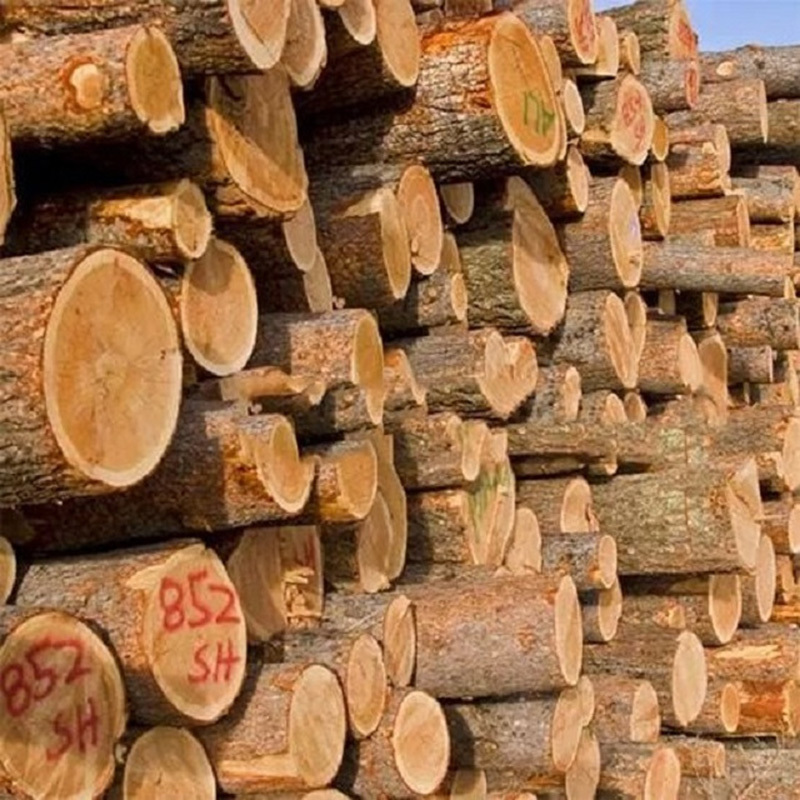 For Sell Red and White Oak Round Logs / oak veneer logs / Fresh Grade 1 2 3 Round Oak Logs