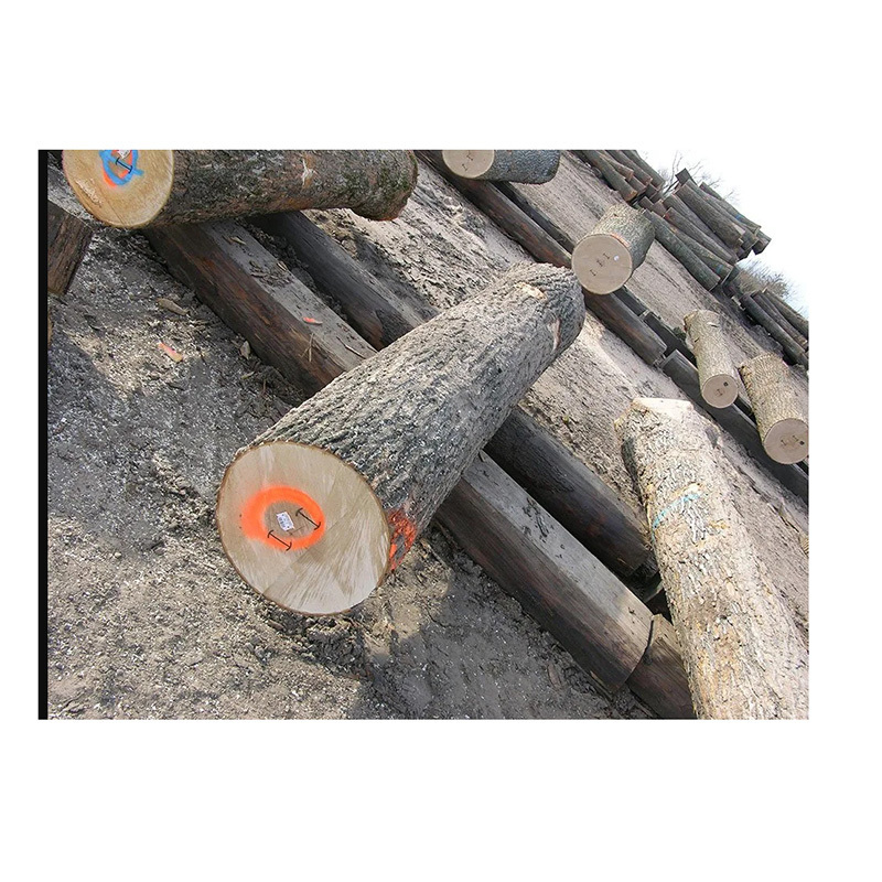 Super Performance Oak Hard Wood Round Logs / Timber From Belgium Supplier