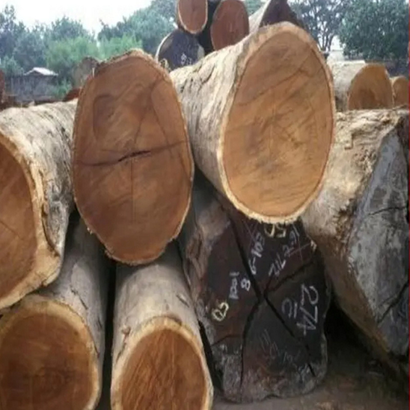 Best Price European Walnut Logs and timber for sale/France high density and harder round logs