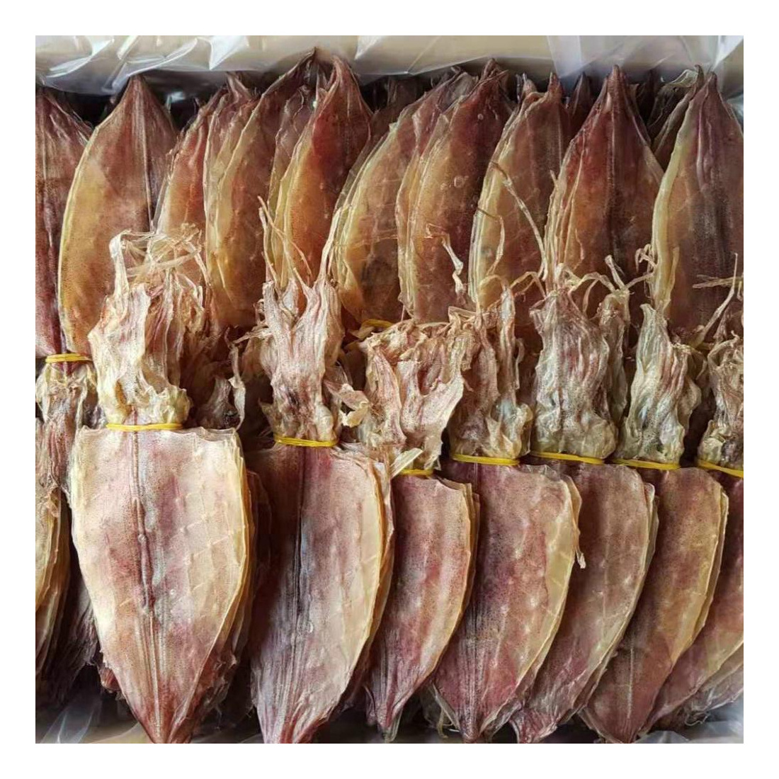 Hot Selling Special Dried Squid (8-130 pieces/kg) from Vietnam | Dried Squid | Cheap Price | Cuttlefish