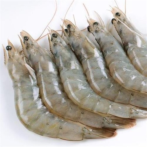 Whole Skinless Shrimps Seafood Vannamei Shrimp Frozen