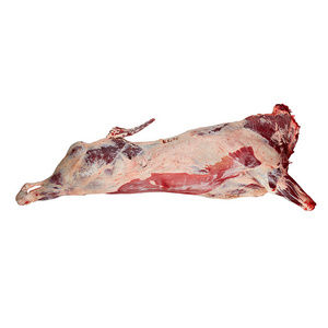 Halal Frozen Beef Bone In /Cow Meat /Beef Carcass Uruguayan Origin