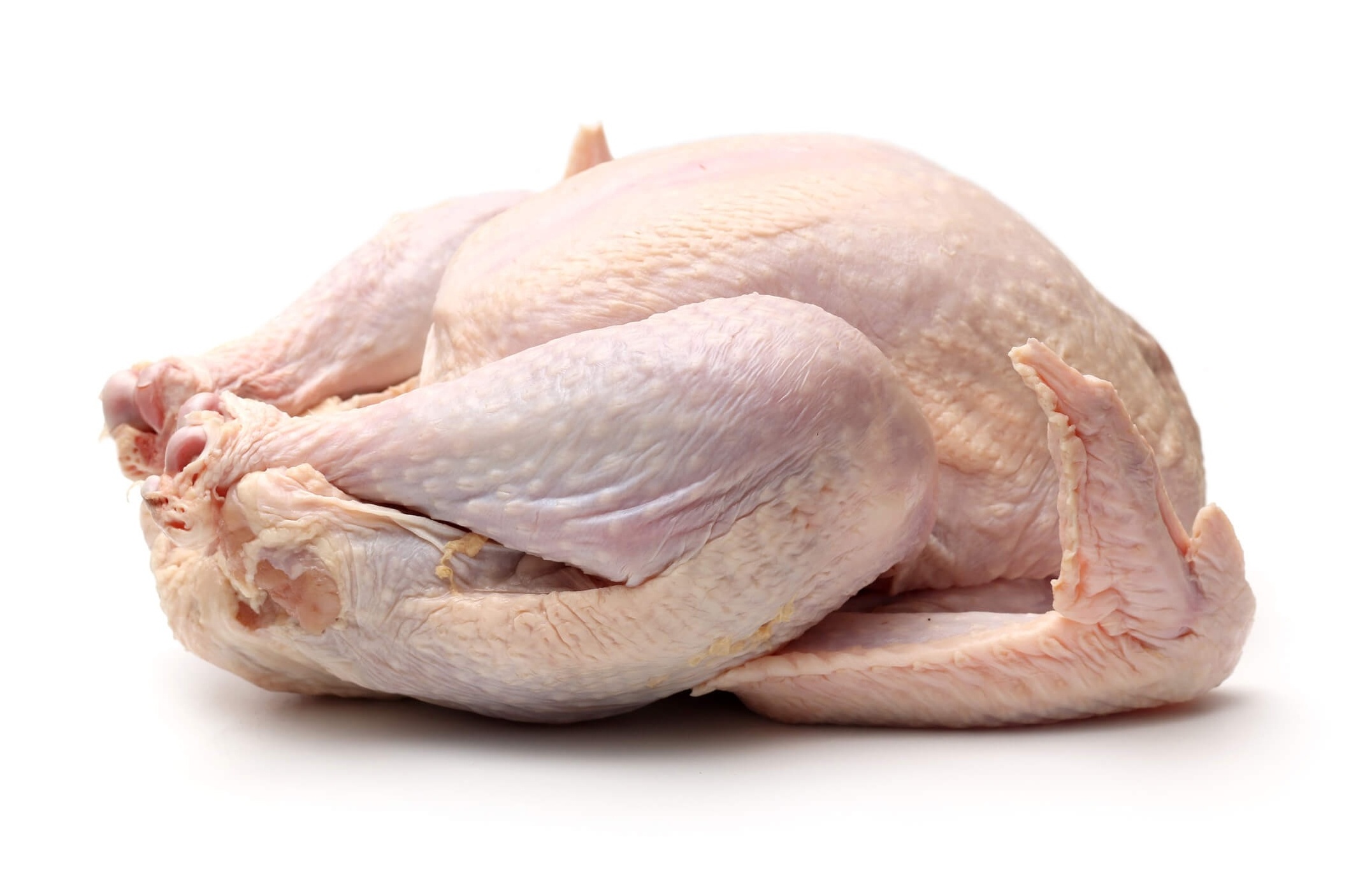 Wholesale Supplier Frozen Turkey Wings For Sale In Cheap Price