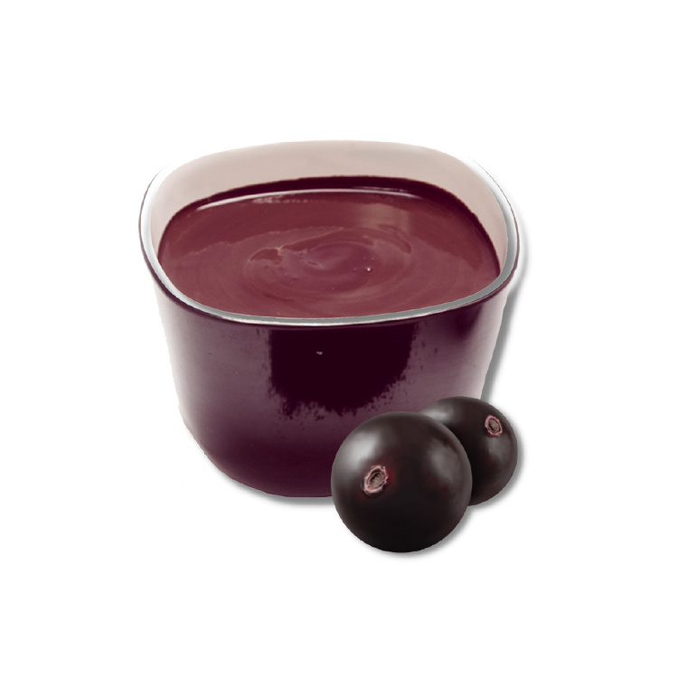 Brazilian Private Label Milk Tea Raw Material Acai Berry Pulp Frozen Organic Acai Berry Puree Supplier