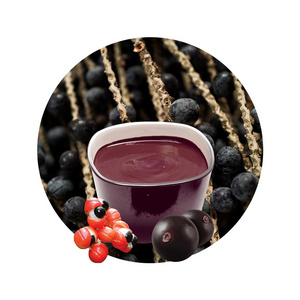 Nutrient Dense High Energy Acai Concentrate Puree Guarana Pulp Frozen Acai Berry Guarana Puree