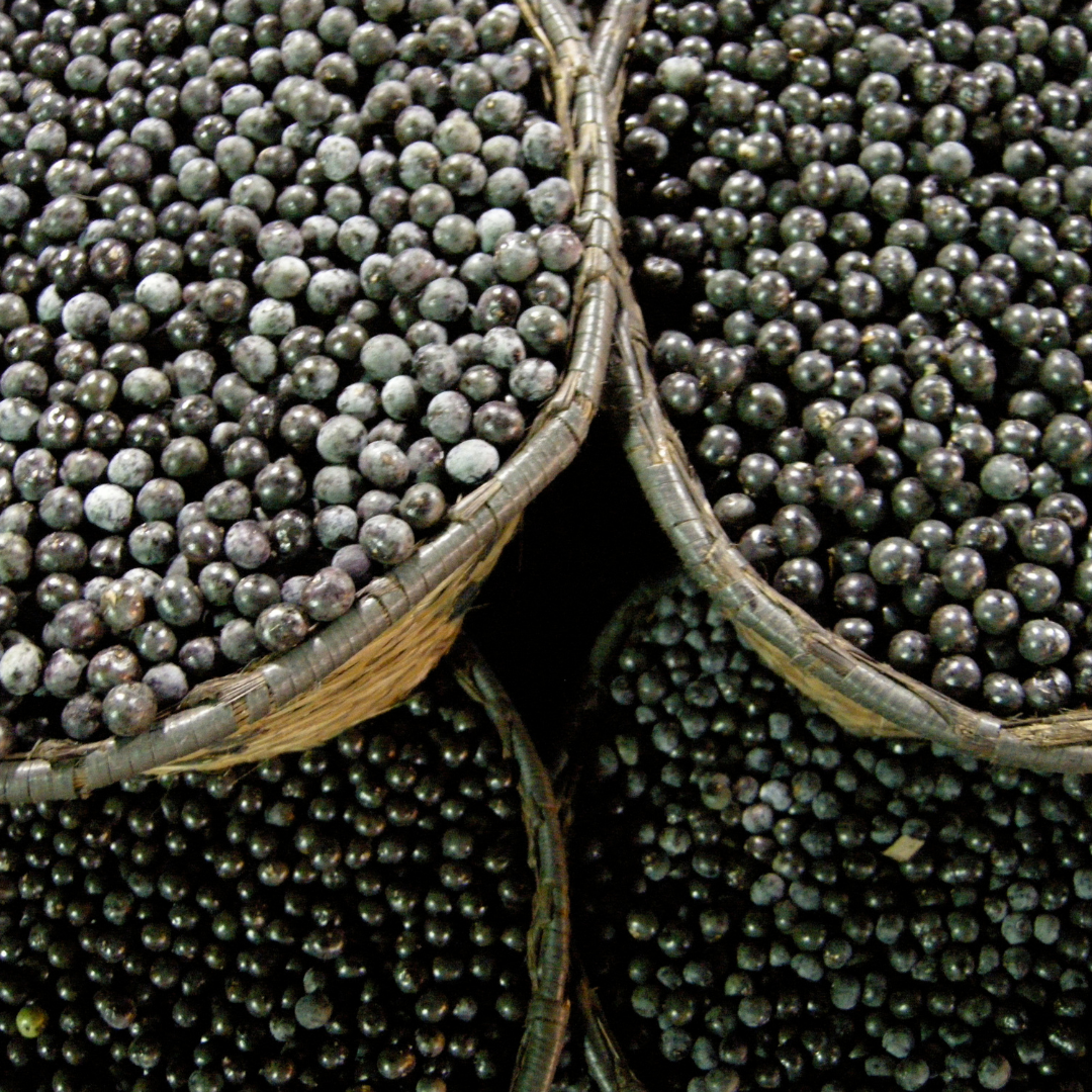 Brazilian Superfood Acai Berry Guarana Pulp Depulping Process Acai Berry Fruit Puree Supplier