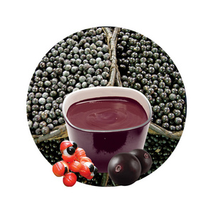 Brazilian Superfood Acai Berry Guarana Pulp Depulping Process Acai Berry Fruit Puree Supplier