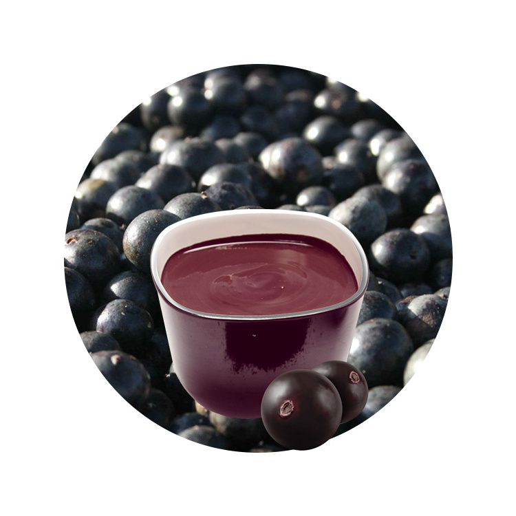 High Concentrated Organic Acai Pulp Frozen Acai Product Frozen Superfood Pulp Acai Berry Puree