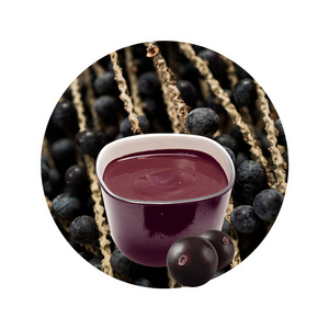 Healthy Nutrition High Protein Organic Frozen Acai Fruit Puree Bulk Concentrated Acai Berry Pulp