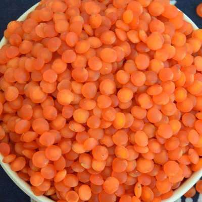 Wholesale Price Canadian Red Lentils / Split Red Lentils Available For Sale At Low Price, Fresh Red Lentil for Brazil Bulk