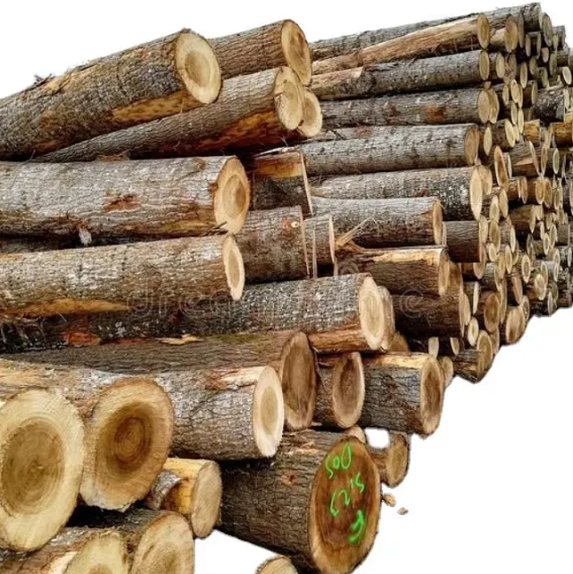 Brazil Red and White Oak Round Logs / oak veneer logs / Fresh Grade 1, 2, 3 Round Oak Logs (Fresh Cut)