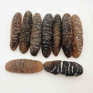 DRIED SEA CUCUMBER Best price for dried sea cucumber dry sea cucumber high quality