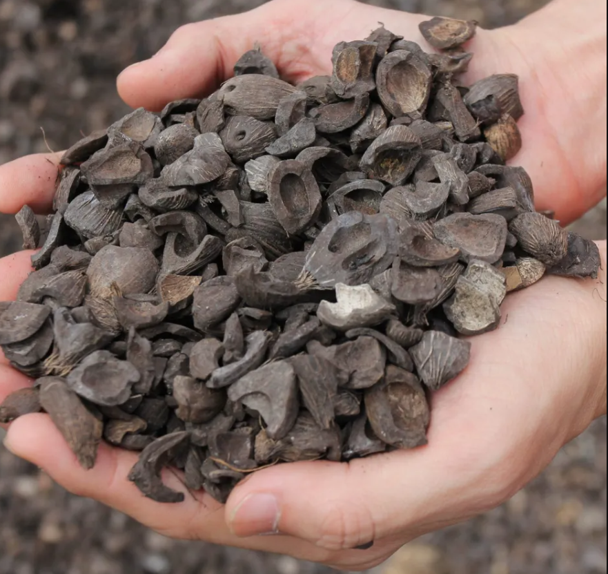 Hot sale Palm kernel shell charcoal for activated carbon and the pellet activated carbon price per ton is cheap