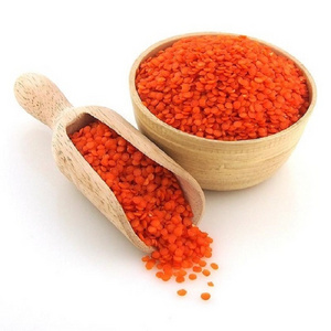 Wholesale Price Canadian Red Lentils / Split Red Lentils Available For Sale At Low Price, Fresh Red Lentil for Brazil Bulk