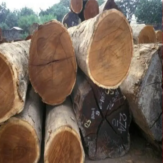 Wholesale European Walnut Logs and timber for sale/France high density and harder round logs