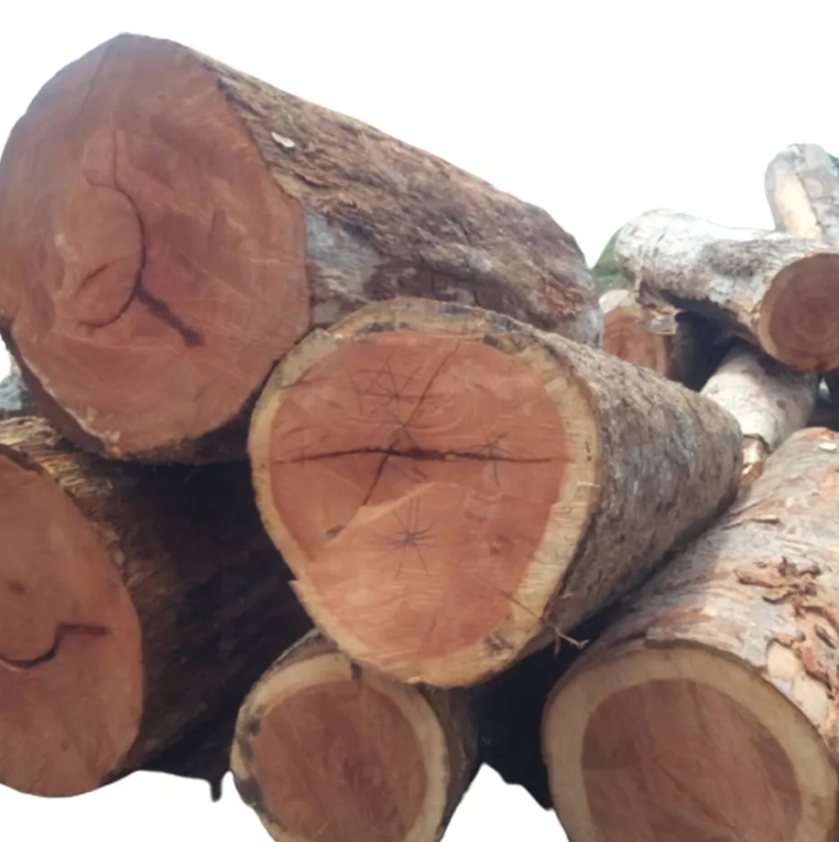 High Quality Wholesale Custom Teak Wood Logs Pine And Red Cherry Woods Massive Forest Teak Wood Logs Brazil