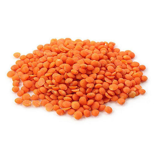 Wholesale Price Canadian Red Lentils / Split Red Lentils Available For Sale At Low Price, Fresh Red Lentil for Brazil Bulk